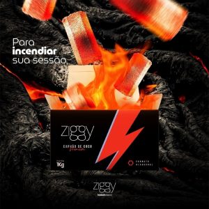 CARVAO ZIGGY