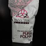 ERVA MATE INVICTUS