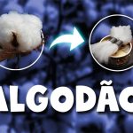 ALGODAO PARA TANQUE RTA