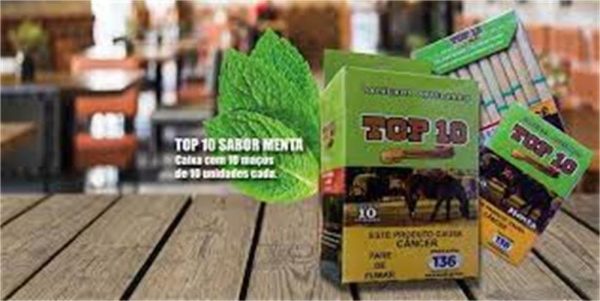 PALHEIRO TOP 10 - Imagem 1